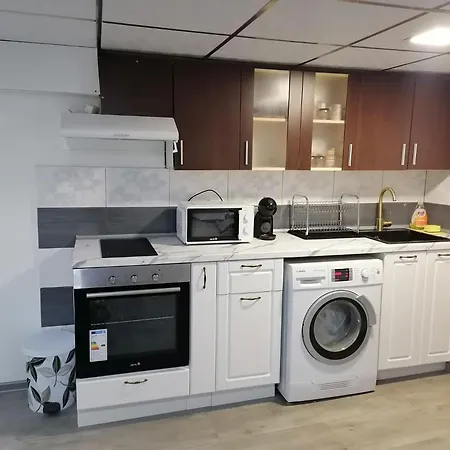 апартамемт 3 места с кухня с дворче Apartament