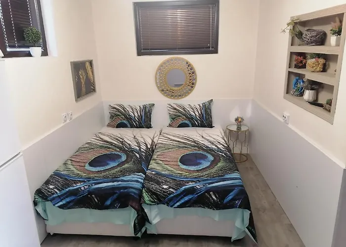 Apartament апартамемт 3 места с кухня с дворче Wraca