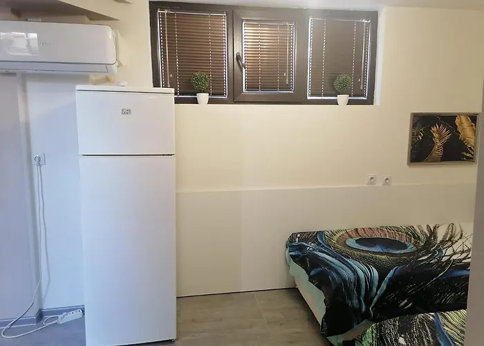 апартамемт 3 места с кухня с дворче Wraca